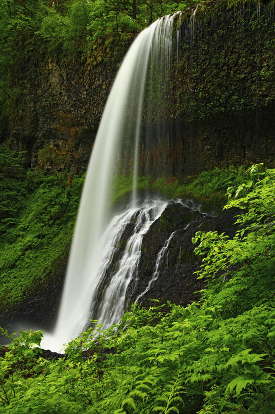 无人,竖图,室外,白天,瀑布,水,美国,飞溅,溅,液体,地形,水滴,悬崖,水珠,摄影,蕨类,喷洒,清新,纯净,俄勒冈州,地质学,跌水,彩图