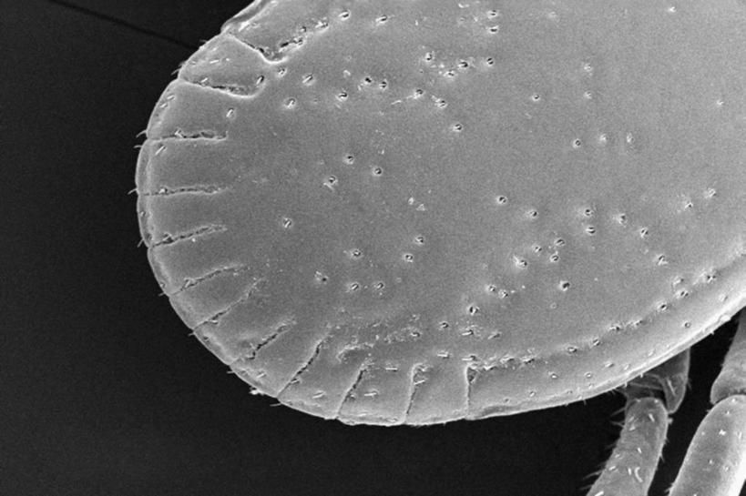 无人,竖图,俯视,室内,技术,美国,科学,摄影,北美,北美洲,美洲,佛罗里达,佛罗里达州,佛州,阳光州,肯尼迪航天中心,北亚美利加洲,亚美利加洲,迈雷特岛国家野生动物保护区,梅里特岛,彩图,高角度拍摄,美利坚合众国