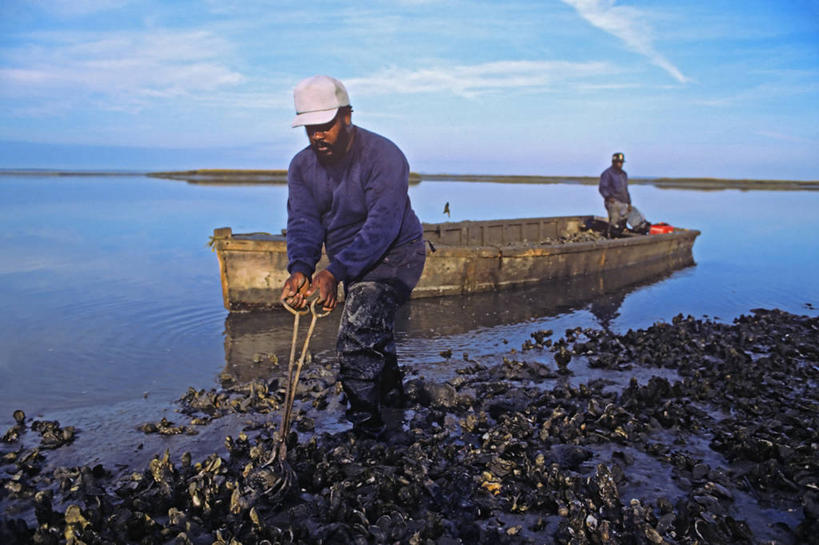划艇,西方人,成年人,中年人,两个人,横图,室外,渔业,海岛,河流,水,船,欧洲,非洲,美国,黑人,欧洲人,工作,摄影,沼泽,北美,北美洲,美洲,南卡罗来纳州,北亚美利加洲,亚美利加洲,南卡罗来纳,扇榈之州,矮棕榈之州,男人,中年男性,非洲人,彩图,钓鱼,美利坚合众国