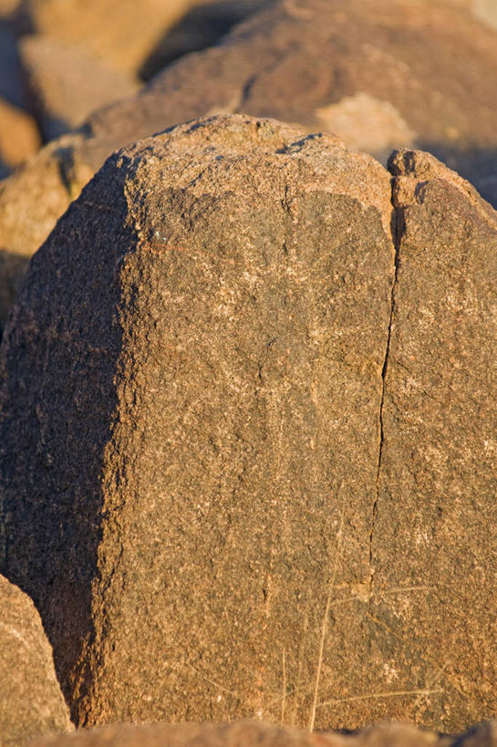 无人,竖图,室外,绘画,通讯,太阳,美国,艺术,装饰,墙,历史,文化,壁画,墙壁,墙面,摄影,洞穴,华丽,修饰,点缀,考古学,亚利桑那,北美,北美洲,国家公园,美洲,亚利桑那州,大峡谷之州,北亚美利加洲,亚美利加洲,衬托,美观,雅致,雅观,萨瓜罗国家公园,美术工艺,皮马县,岩石,画画,彩图,美利坚合众国