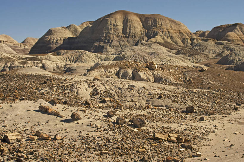 无人,横图,室外,沙漠,美国,科学,化石,地形,树,风景,摄影,亚利桑那,粘土,国家公园,地质学,沙岩,石化森林国家公园,彩图,石化木