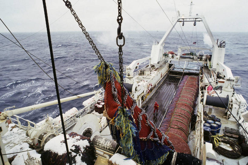 成年人,中年人,一个人,横图,美国,仅一个男性,仅一个人,仅一个中年男性,粗糙,冬天,工业,摄影,毛糙,鱼网,黄线狭鳕,冒险,危险,男人,男性,中年男性,海产,彩图,粗拙