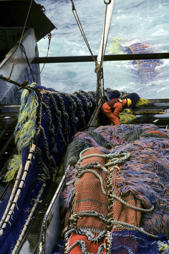 成年人,中年人,一个人,竖图,渔业,美国,仅一个男性,仅一个人,仅一个中年男性,冬天,工业,摄影,鱼网,黄线狭鳕,冒险,危险,男人,男性,中年男性,海产,彩图