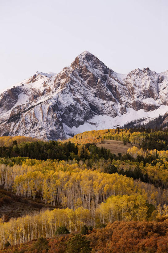 无人,竖图,室外,美景,森林,山,山脉,雪,美国,地形,景观,山顶,宏伟,冰川,黄色,自然,地标建筑,景色,季节,摄影,气候,自然风光,美洲白杨,科罗拉多州,洛矶山脉,自然地理,气象学,彩图