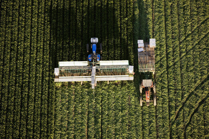 无人,横图,俯视,航拍,农业,农作物,美国,条纹,瓜,摄影,收获,鸟瞰,加利福尼亚,拖拉机,隆波克,圣芭芭拉,彩图,高角度拍摄