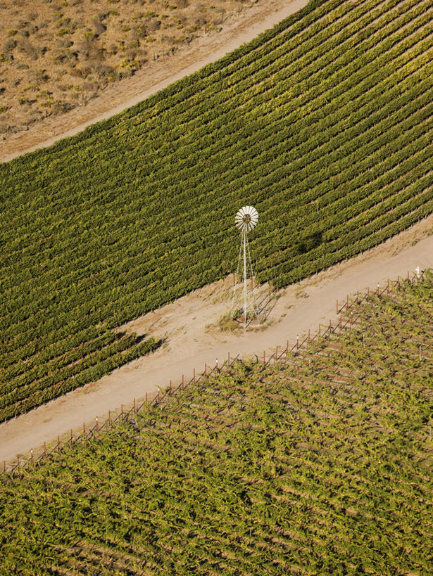 无人,竖图,俯视,航拍,室外,农业,技术,葡萄,风车,美国,一排,整齐,螺旋桨,旋转,葡萄园,排列,摄影,能源,水泵,鸟瞰,队列,加利福尼亚,环境保护,涡轮,隆波克,圣芭芭拉,风轮机,彩图,高角度拍摄