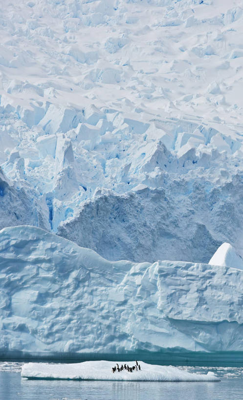 无人,竖图,室外,冰山,全球变暖,企鹅,野生动物,冰,地形,冰川,动物,寒冷,可爱,摄影,活泼,气象,气候,帽带企鹅,南极洲,冰河,南极半岛,胡须企鹅,颊带企鹅,彩图