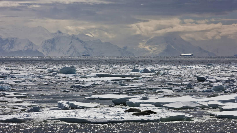 无人,横图,室外,冰山,海洋,山,山脉,全球变暖,海豹,野生动物,三只,冰,地形,自然,动物,浮冰,寒冷,摄影,南极洲,南极半岛,食蟹海豹,彩图,广角,冰架