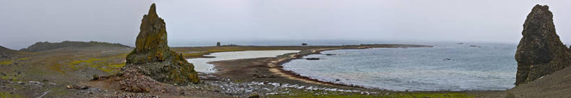 无人,横图,全景,室外,海洋,海豹,企鹅,野生动物,海象,地形,自然,动物,可爱,摄影,活泼,环境,帽带企鹅,南极洲,巴布亚企鹅,胡须企鹅,颊带企鹅,彩图