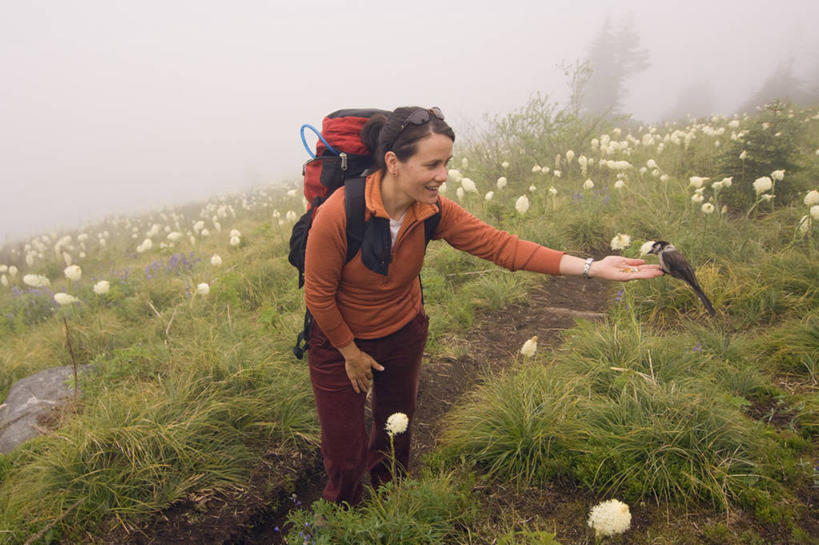 西方人,成年人,中年人,一个人,横图,室外,旅游,度假,山,雾,野生动物,欧洲,华盛顿,美国,欧洲人,仅一个女性,仅一个人,鸟类,小路,野花,娱乐,自然,动物,夏天,仅一个中年女性,享受,休闲,放松,摄影,生物学,北美,北美洲,美洲,华盛顿州,卡斯基德山脉,阿尔卑斯山脉,常绿之州,常青州,北亚美利加洲,亚美利加洲,喂养,僵鸟,冒险,女人,女性,中年女性,白种人,半身,彩图,美利坚合众国,熊草