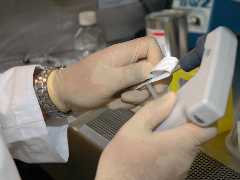 手,一个人,科学家,横图,技术,美国,朦胧,模糊,科学,摄影,准确,吸液管,彩图