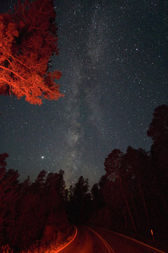 无人,竖图,室外,夜晚,路,美国,星星,纪念碑,树,天空,摄影,北美,北美洲,银河系,美洲,怀俄明州,怀俄明,天文学,北亚美利加洲,亚美利加洲,平等之州,魔鬼塔,魔鬼塔国家纪念碑,彩图,美利坚合众国