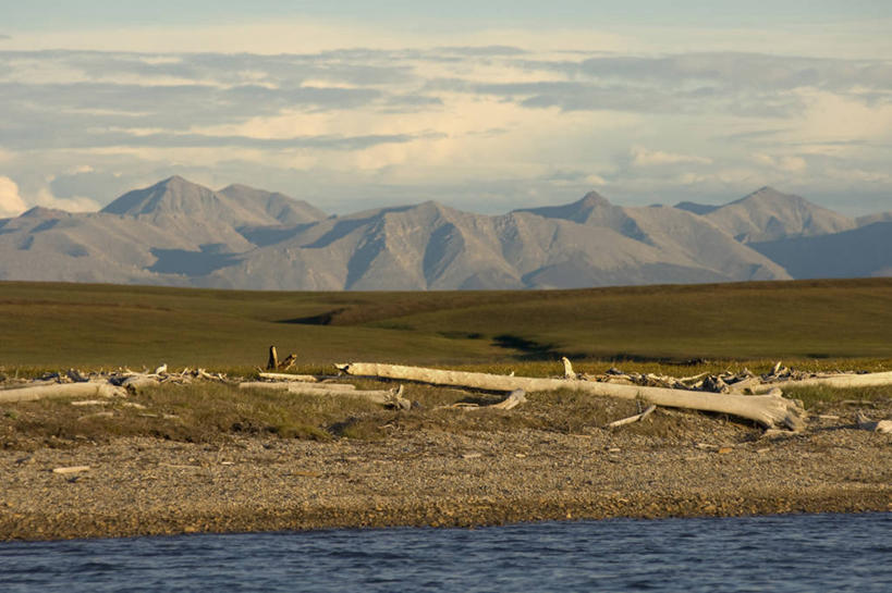 无人,横图,室外,白天,海洋,山,山脉,水,美国,浮木,地形,山顶,风景,自然,夏天,摄影,国家野生动物保护区,布鲁克斯山脉,海滩,彩图,冻原