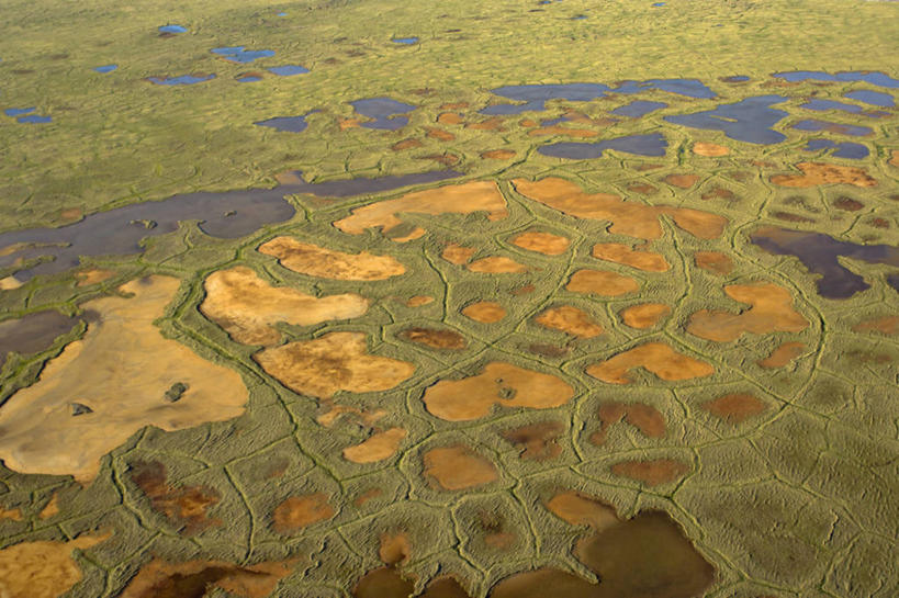 无人,横图,俯视,航拍,室外,白天,北极,水,全球变暖,美国,池塘,地形,海岸线,自然,摄影,环境,鸟瞰,潘塔纳尔湿地,三角洲,彩图,高角度拍摄,冻原