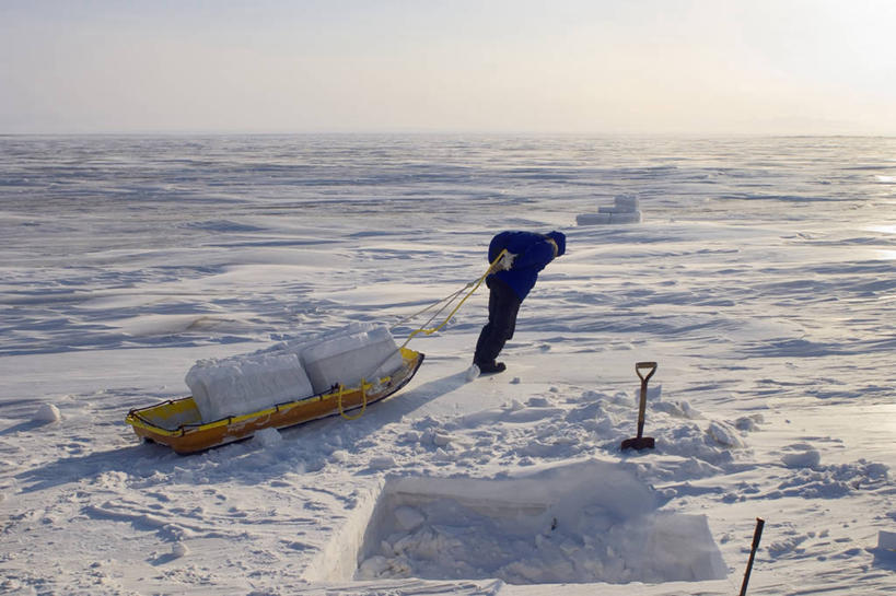 成年人,中年人,一个人,导游,拉,横图,室外,白天,探险,雪,美国,仅一个男性,仅一个人,仅一个中年男性,房屋,屋子,冬天,文化,社区,运输,摄影,块状,雪橇,生存,雪屋,国家野生动物保护区,因纽特人,冒险,男人,男性,中年男性,彩图,旅行,房子,小屋,传统文化,冻原