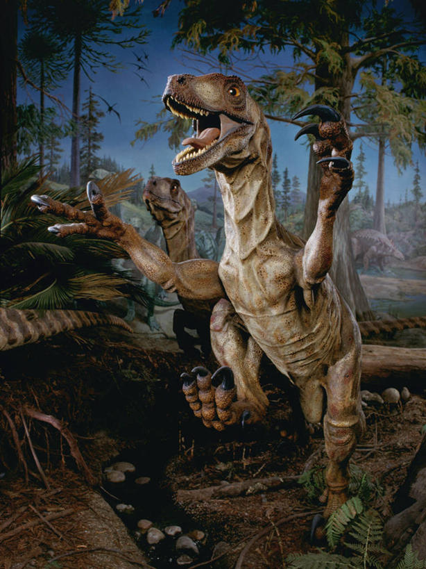 无人,竖图,室内,神秘,雕塑,生气,艺术,装饰,科学,捕食,雕刻,雕像,自然,动物,工艺品,两只,探索,愤怒,摄影,恐龙,纪念,恼怒,美术,考古学,愤慨,怒气,气愤,发怒,怒火,主题,情绪,进攻,脾气,陈列,旧金山,忿怒,怨恨,强烈,功能,美学,气忿,进化,愤恨,地质学,迅猛龙,肝火,史前时代,恐爪龙,激动,彩图,古生物学