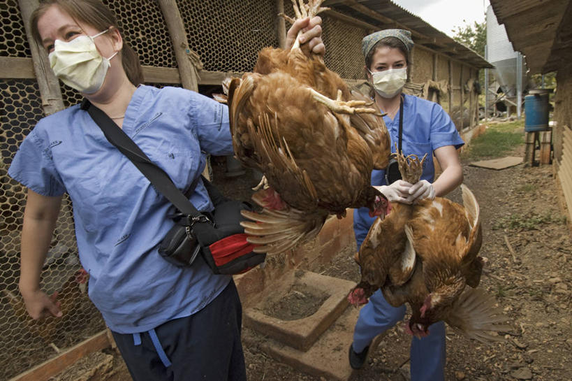 西方人,成年人,两个人,学生,横图,欧洲,牙买加,欧洲人,食品,首都,摄影,年轻女性,白种人,年轻人,彩图