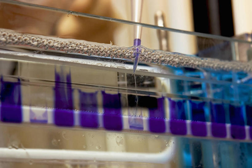 无人,医院,横图,室内,特写,科学,试管,细胞,实验室,紫色,摄影,蛋白质,坦克,吸液管,胸腺,彩图,电泳