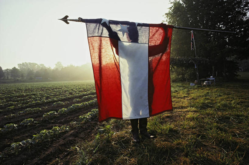 一个人,农场,横图,室外,白天,旗帜,美国,一排,朦胧,模糊,整齐,田地,黎明,拿着,历史,旗子,排列,翻滚,卷起,摄影,队列,剪影,旌旗,旗号,田纳西,内战,彩图
