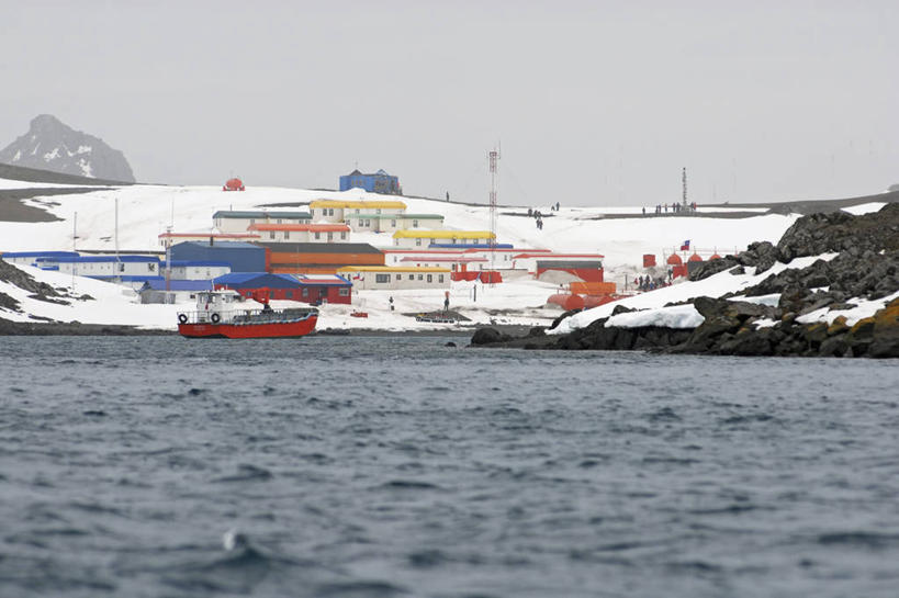 横图,室外,白天,探险,雪,科学,摄影,南极洲,乔治王岛,彩图,旅行