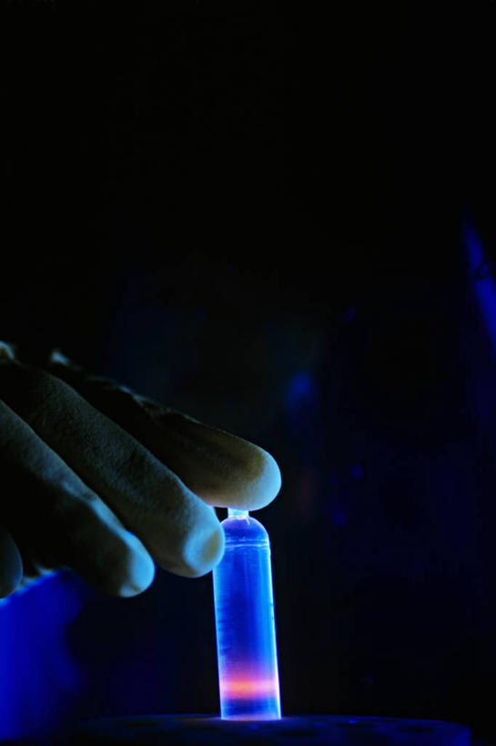 手,一个人,竖图,室内,特写,研究,发光,光亮,黑色,手套,摄影,部分,遗传研究,脱氧核糖核酸,紫外线,彩图,紫外线辐射