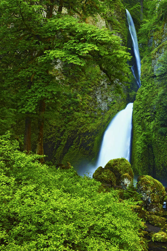 无人,竖图,室外,白天,瀑布,峡谷,枫树,美国,地形,苔藓,摄影,清新,俄勒冈州,哥伦比亚河谷,彩图