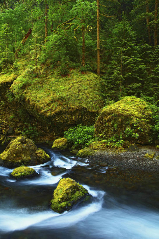 无人,竖图,室外,白天,河流,美国,地形,苔藓,摄影,清新,俄勒冈州,哥伦比亚河谷,彩图