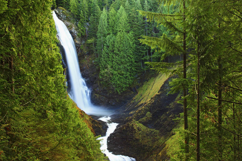 无人,横图,俯视,室外,白天,瀑布,森林,美国,地形,地标建筑,摄影,清新,华盛顿州,针叶树,彩图,高角度拍摄