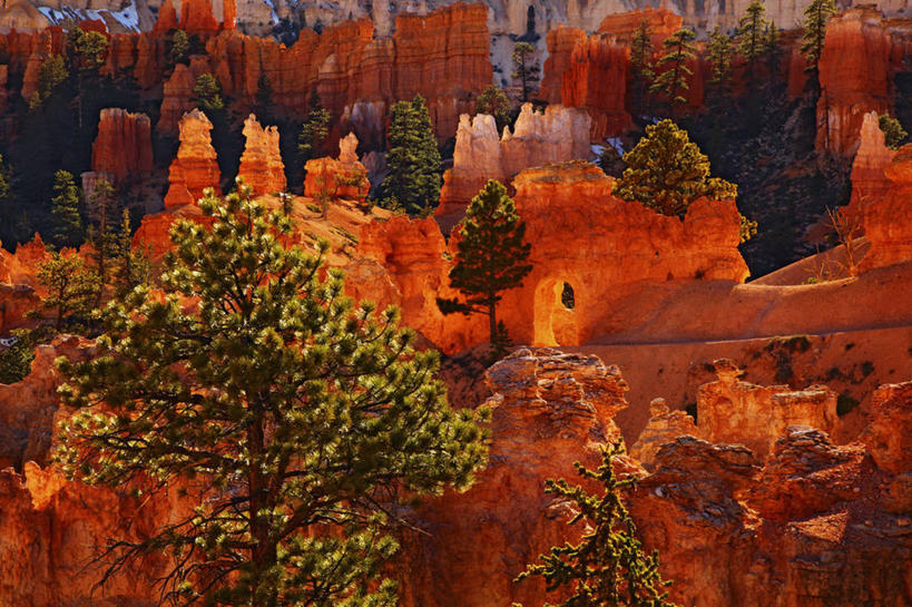 无人,横图,室外,白天,松树,美国,地形,地标建筑,摄影,犹他,布莱斯峡谷国家公园,地质学,沙岩,岩石,彩图,旅行