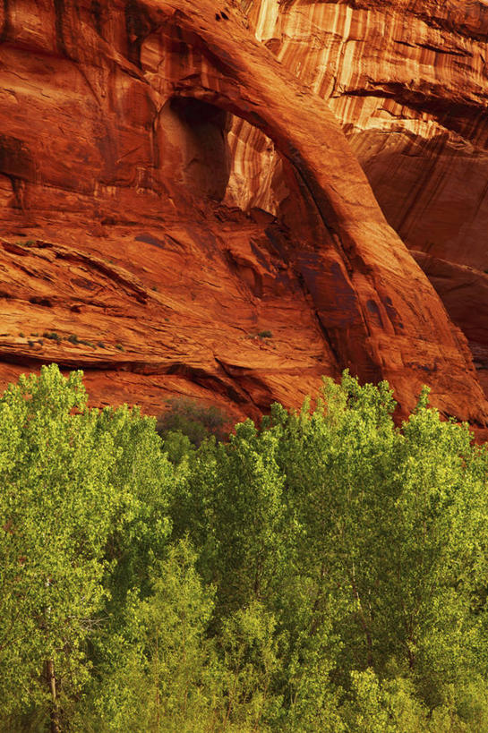 无人,竖图,室外,白天,峡谷,美国,地形,悬崖,树,摄影,犹他,地质学,沙岩,大楼梯国家纪念碑,岩石,彩图