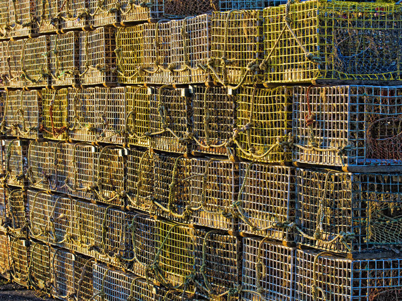 无人,横图,室外,白天,抽象,美国,食品,工业,摄影,陷阱,肌理,海产,彩图,龙虾笼