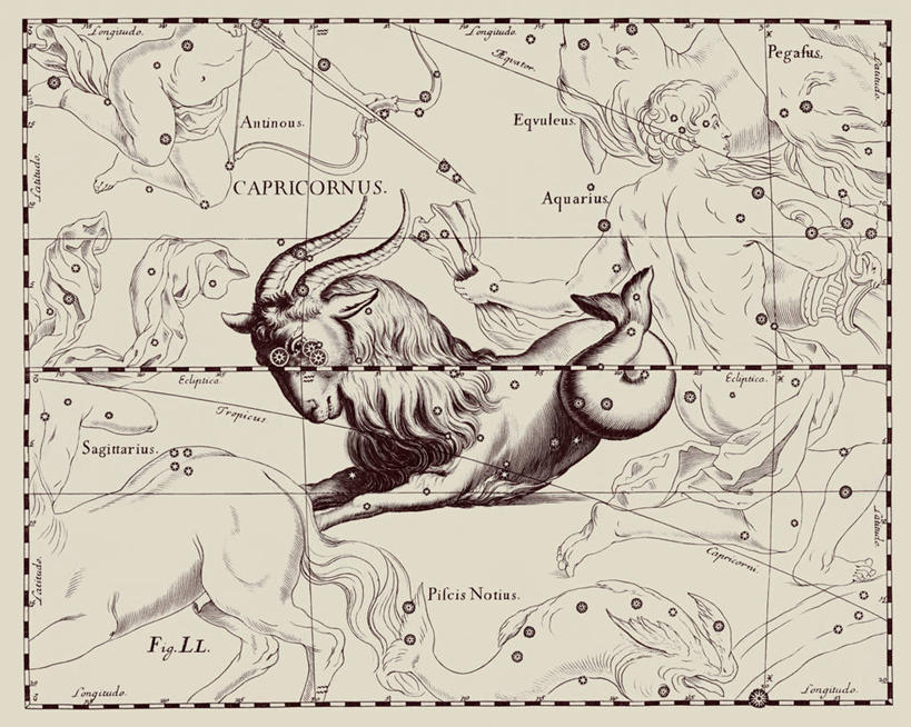 无人,横图,地图,艺术,科学,星星,摄影,星座,天文学,摩羯座,拉丁文,彩图,雕刻术