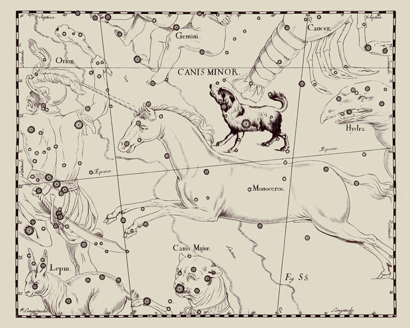 无人,横图,宇宙,地图,艺术,科学,星星,自然,摄影,星座,天文,占卜,天文学,星相,占星,拉丁文,彩图,雕刻术