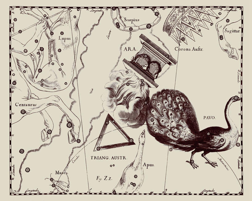 无人,横图,孔雀,地图,艺术,科学,星星,摄影,星座,祭坛,天文学,拉丁文,彩图,雕刻术