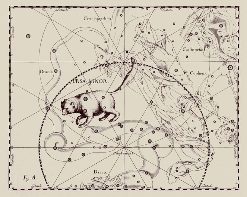 无人,横图,地图,艺术,科学,星星,摄影,北极星,星座,天文学,拉丁文,彩图,雕刻术