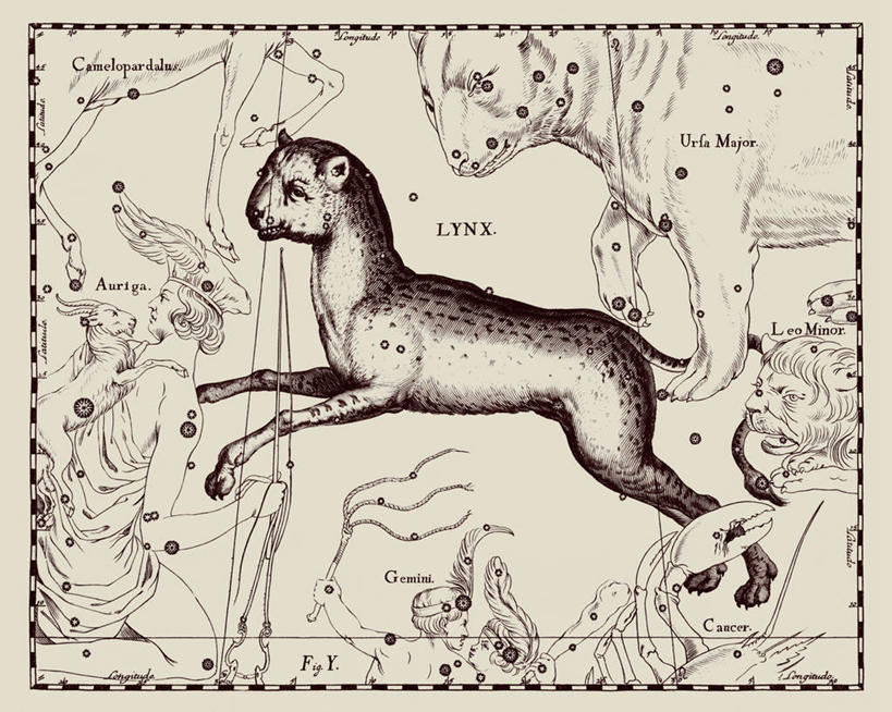 无人,横图,地图,艺术,科学,星星,摄影,星座,山猫,天文学,拉丁文,彩图,雕刻术