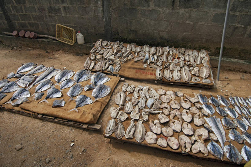 无人,横图,室外,白天,烹饪,斯里兰卡,料理,食品,菜肴,美食,食物,摄影,佳肴,烘干,海产,彩图