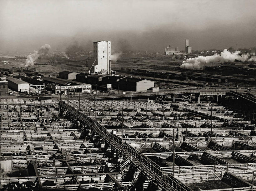 无人,工厂,横图,俯视,黑白,室外,白天,农业,美国,工业,摄影,内布拉斯加,高角度拍摄,制造厂,生产工厂,奥马哈