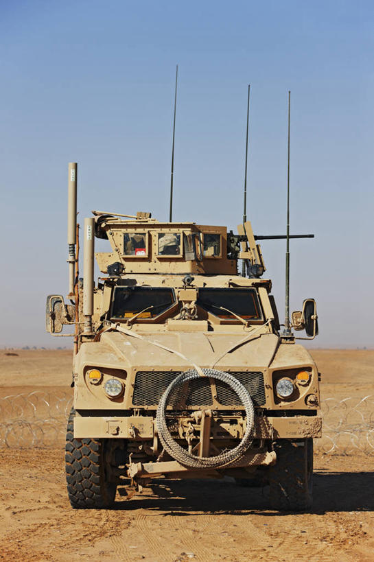 竖图,室外,白天,摄影,保护,彩图