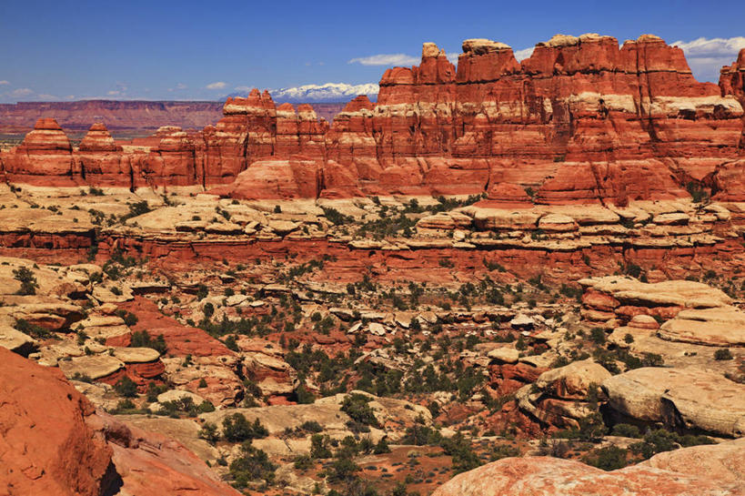 无人,横图,室外,白天,石头,沙漠,红色,摄影,岩层,峡谷地国家公园,犹他,岩石,彩图