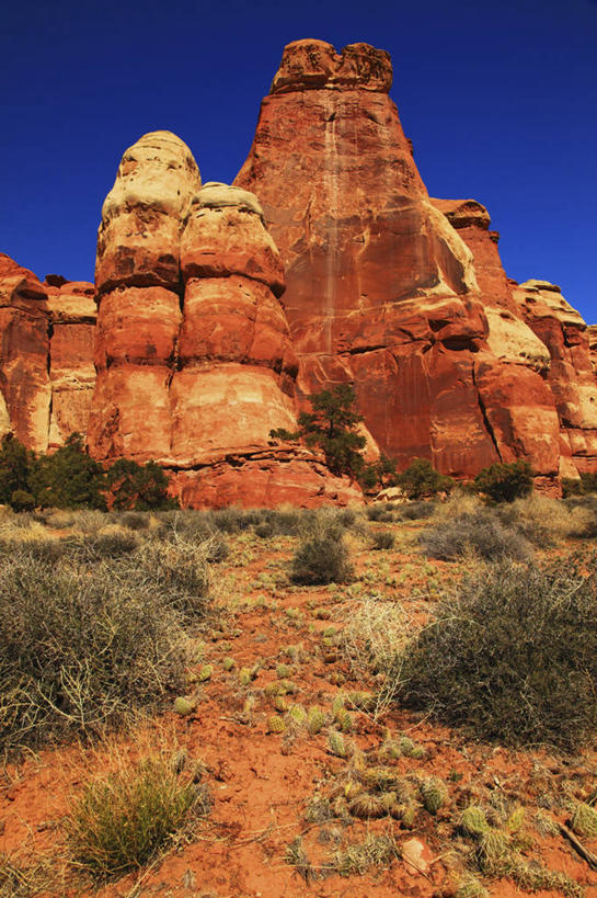 无人,竖图,室外,白天,石头,沙漠,塔,红色,摄影,岩层,峡谷地国家公园,犹他,岩石,彩图