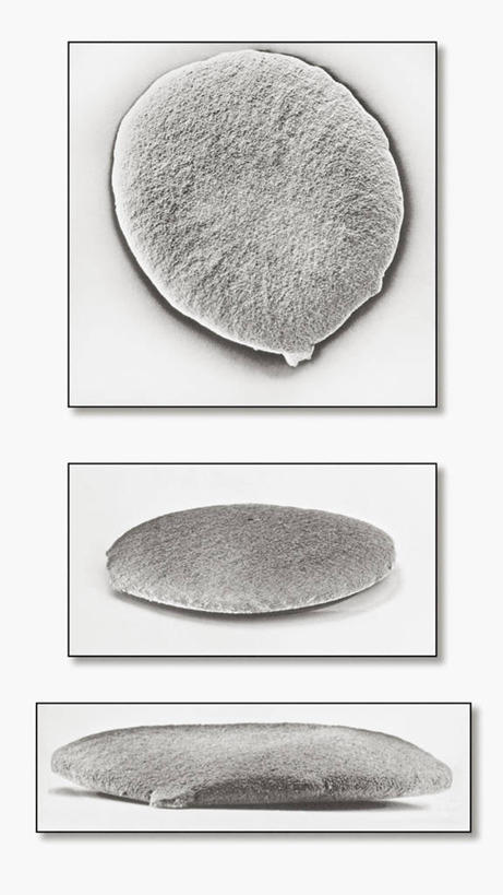 无人,竖图,黑白,细菌,生病,摄影,支撑,淋球菌,薄烤饼