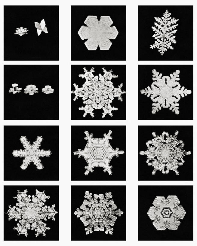 无人,竖图,黑白,微距,美国,标志,格子,六边形,数字,文字,字符,冰,雪花,标识,冰晶,摄影,阿拉伯数字,北美,北美洲,美洲,佛蒙特州,佛蒙特,绿岭之州,北亚美利加洲,亚美利加洲,美利坚合众国,耶利哥