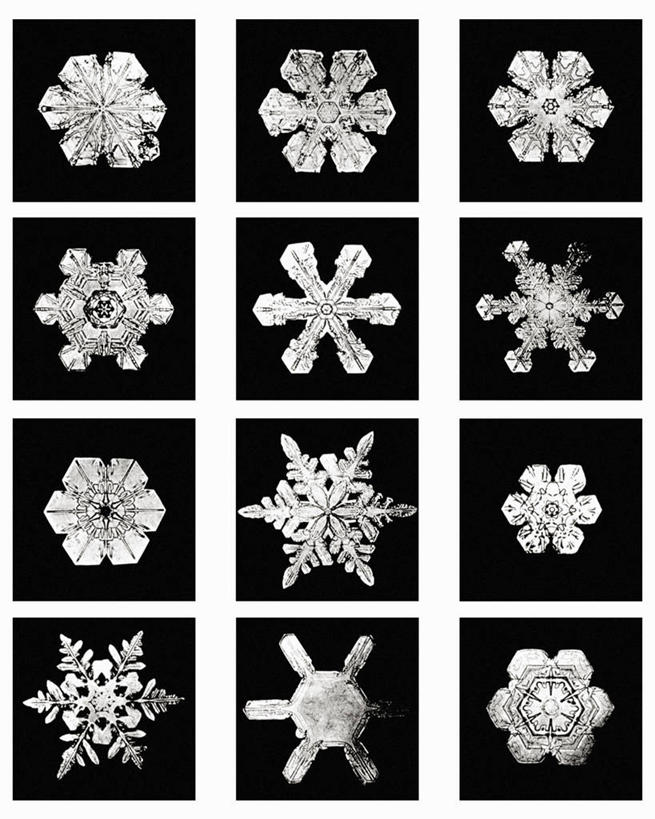 无人,竖图,黑白,微距,美国,标志,格子,六边形,数字,文字,字符,冰,雪花,标识,冰晶,摄影,阿拉伯数字,北美,北美洲,美洲,佛蒙特州,佛蒙特,绿岭之州,北亚美利加洲,亚美利加洲,美利坚合众国,耶利哥