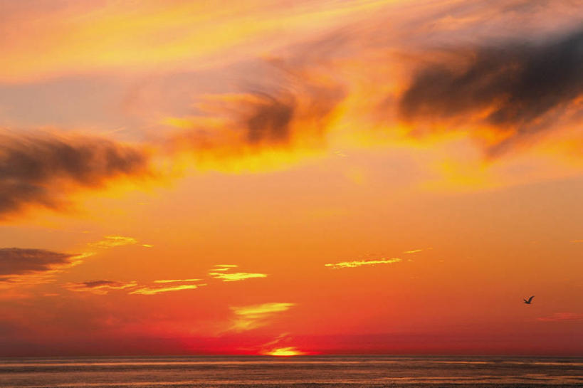 无人,横图,室外,白天,抽象,美景,日落,太阳,海鸥,弯曲,科学,液体,地平线,景观,拱门,天气,热,放射,黄色,自然,橙色,景色,平衡,摄影,太阳系,宁静,太平洋,北美,加利福尼亚,自然风光,改变,梦想,圣西蒙,卷云,彩图