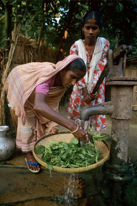 两个人,竖图,小麦,蔬菜,孟加拉国,亚洲,工作,饮食,赤脚,摄影,水泵,工程,南亚,孟加拉人民共和国,女人,中年女性,洗涤,彩图