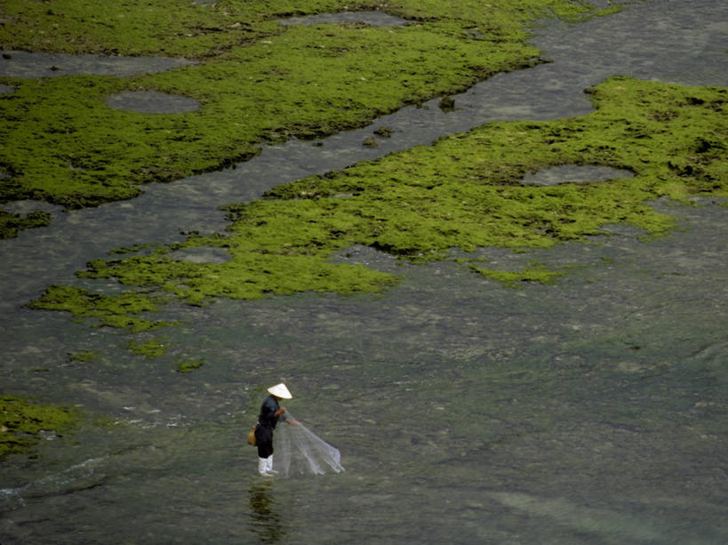 成年人,一个人,横图,室外,白天,水,日本,仅一个男性,工作,摄影,渔网,冲绳县,男人,彩图,钓鱼