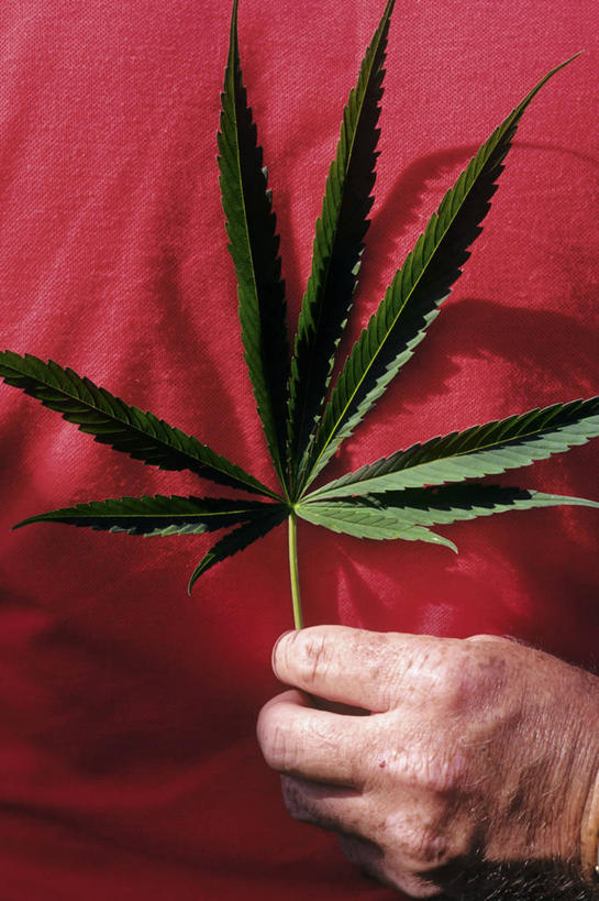 西方人,手,一个人,竖图,室外,白天,商务,叶子,欧洲,欧洲人,摄影,犯罪,田纳西,白种人,彩图,社会问题