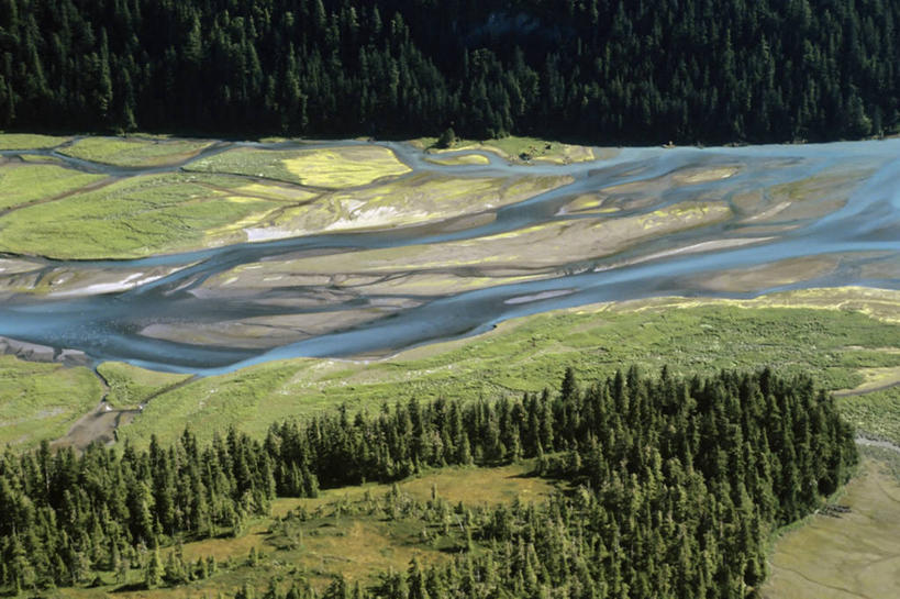 无人,横图,俯视,航拍,室外,白天,森林,美国,地形,树,摄影,鸟瞰,瓦尔迪兹,自然地理,彩图,高角度拍摄,水污染