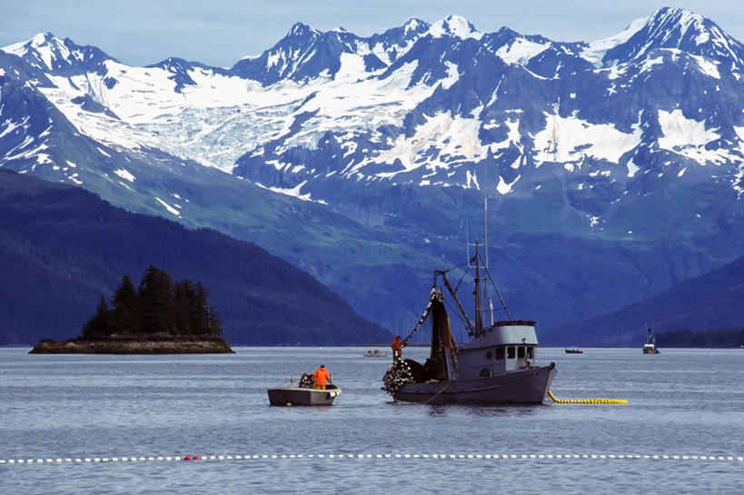 成年人,中年人,两个人,横图,室外,白天,渔业,山,山脉,水,雪,鲑鱼,美国,工作,冰,食品,渔船,鱼类,动物,工业,摄影,美洲,冰河,阿拉斯加,瓦尔迪兹,男人,男性,海产,彩图